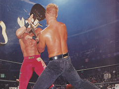 Jeff Jarrett (18)