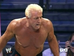 Ric Flair 7