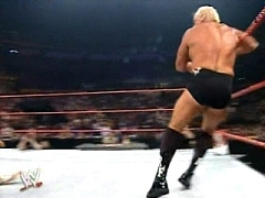 Ric Flair 2