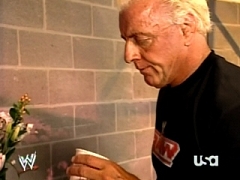 Ric Flair 4