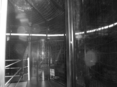 Elimination Chamber 3