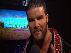 Bobby Roode BfG 9