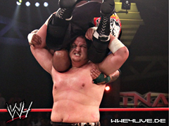 Samoa Joe-08/09 3