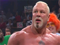 Scott Steiner