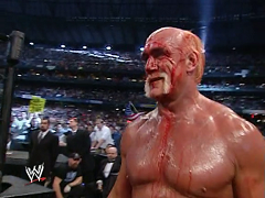 Hulk Hogan (27)