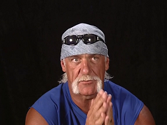 Hulk Hogan (2)