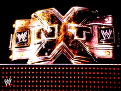 NXT Heavyweight Championship