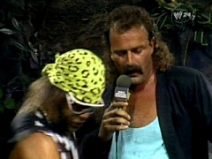 Jake Roberts 3