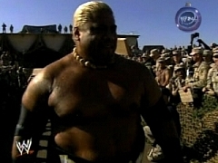 Rikishi (22)
