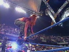 Lita (38)