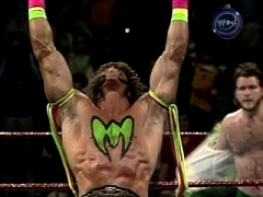 Ultimate Warrior 2