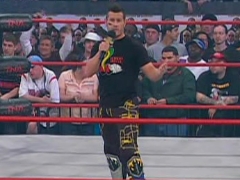 Shelley - Final Resolution