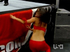 Brie Bella