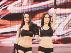 The Bella Twins (3)