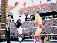 Sheamus