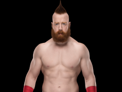 Sheamus17