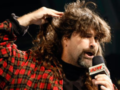 foley