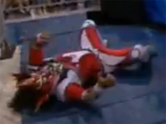 Jushin Thunder Liger