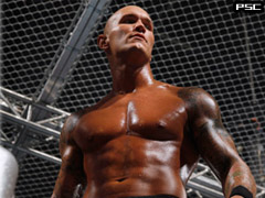 RKO (Hell in a cell)