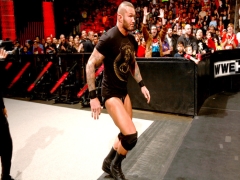 Orton1 6