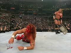 Shawn Michaels (14)