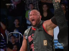 Bully Ray 8