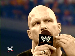 Steve Austin (10)