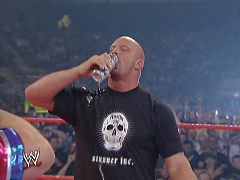 Steve Austin (35)