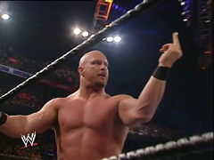 Steve Austin (45)