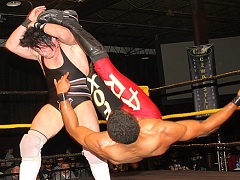 AR Fox 5