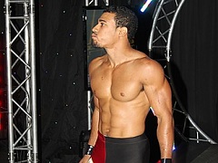 AR Fox 2