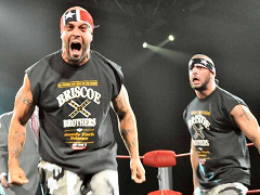 Briscoe Brothers 8