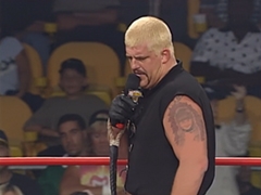 Dustin Microfon Inring(1)