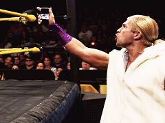 Tyler Breeze (16)