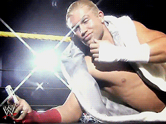 Tyler Breeze (6)