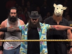 The Wyatt Family (12)