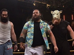 The Wyatt Family (8)