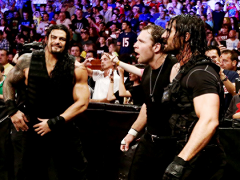 The Shield (9)