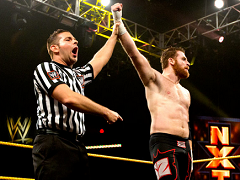 Sami Zayn (10)
