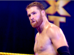 Sami Zayn (13)