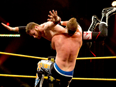 Sami Zayn (14)
