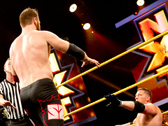 Sami Zayn (17)