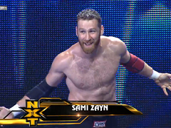Sami Zayn (21)