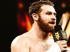 Sami Zayn (4)
