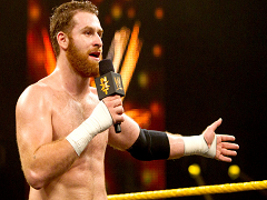 Sami Zayn (9)