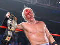 Jeff Jarrett (19)