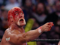 Hulk Hogan (19)