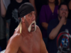 Hulk Hogan BfG 9