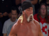 Hulk Hogan BfG 2