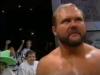 Arn Anderson